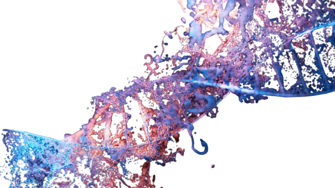 DNA Helix